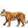 tigre-